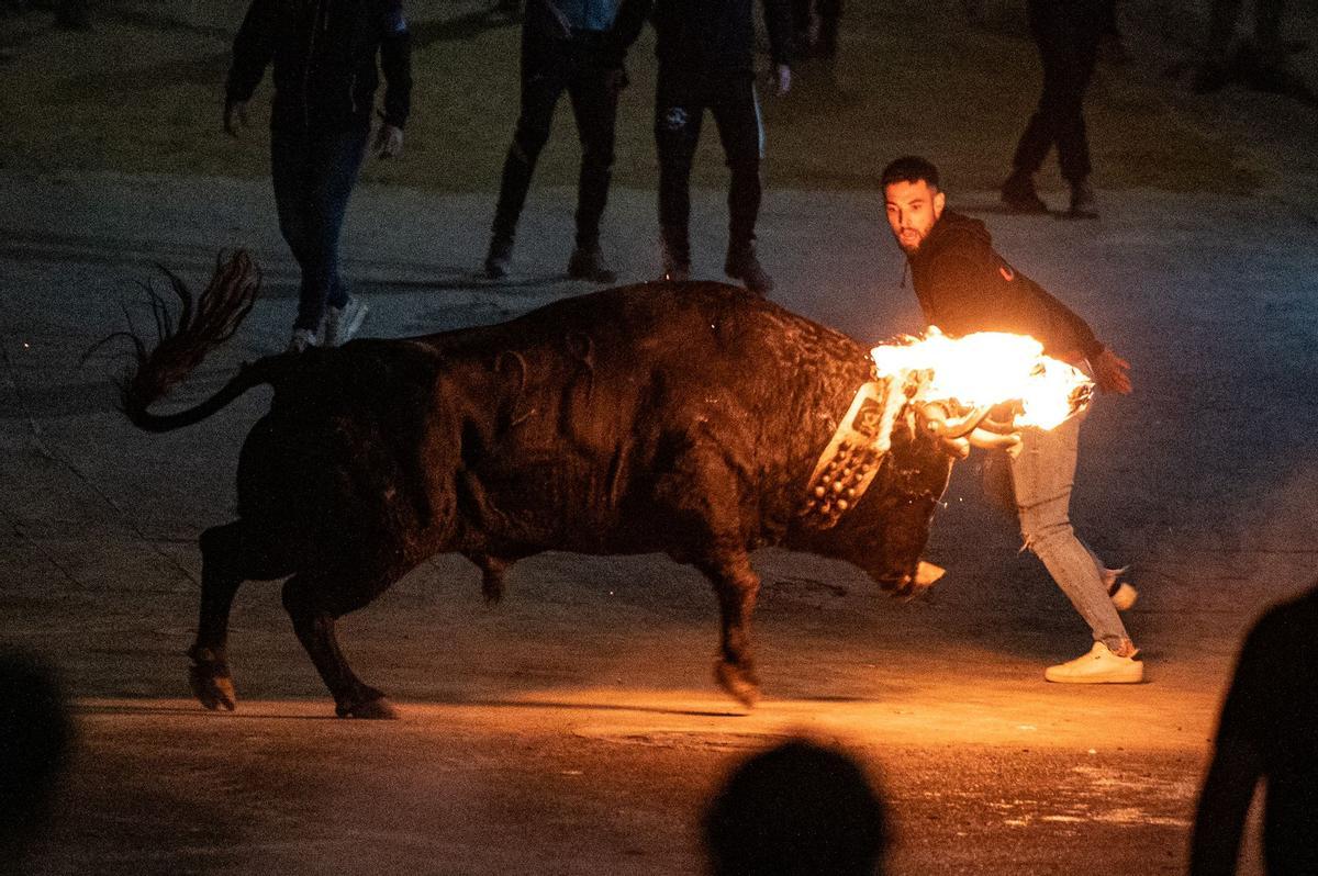 El astado que mejor juego dio el año pasado fue de la ganadería de García Guillén.