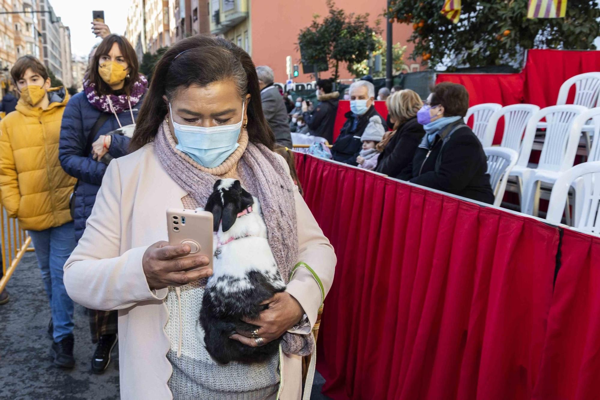 Búscate en la bendición de animales de Sant Antoni