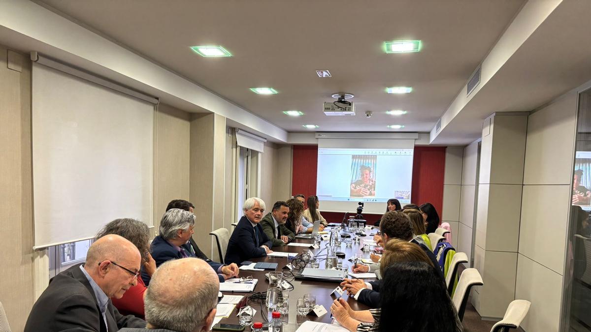 Un momento de la reunión celebraba en Madrid entre las asociaciones de afectados y la Abogacía.