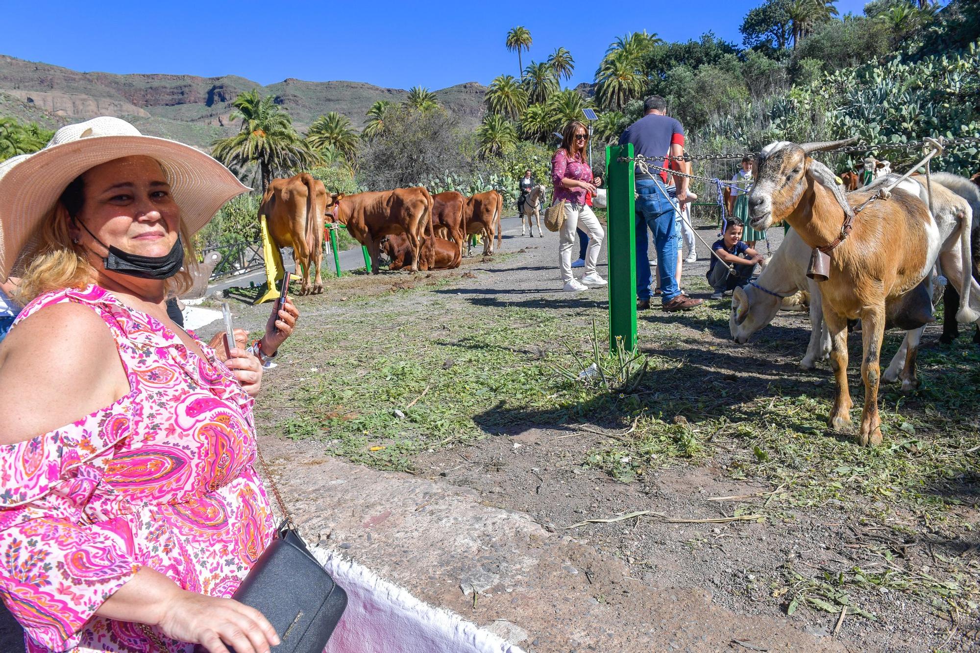 Fiestas de Santa Lucía de Tirajana