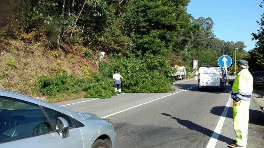 Los trabajos de limpieza ayer en la PO-551 en A Madalena. // G.N.