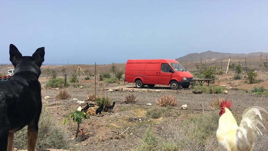 Polémico alquiler vacacional en Fuerteventura