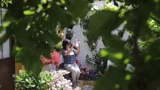 San Andrés y Realejo: Oasis de paz entre flores