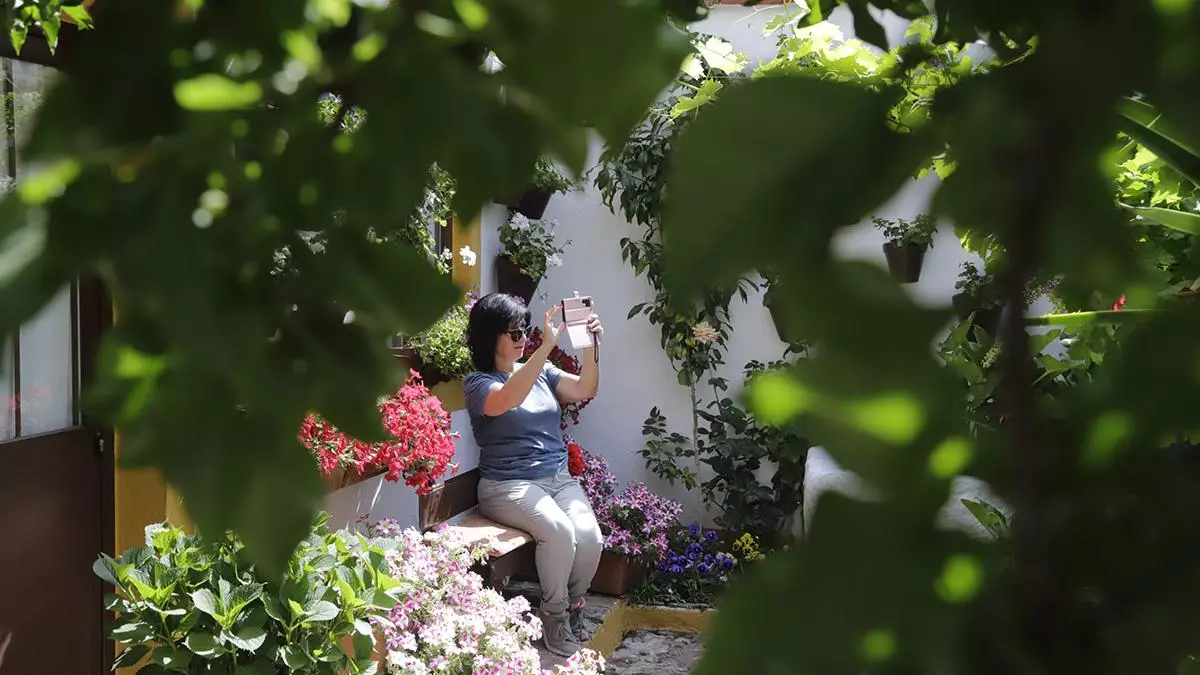 San Andrés y Realejo: Oasis de paz entre flores