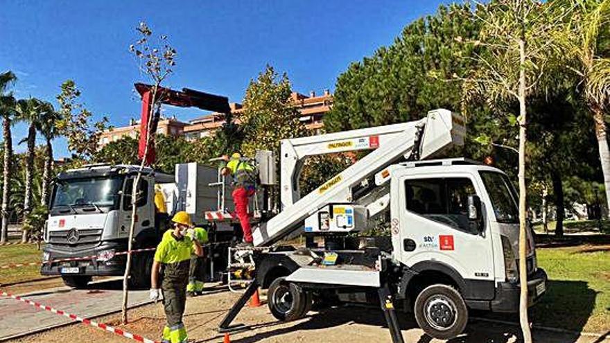 Operarios revisan y adecentan los parques del municipio.