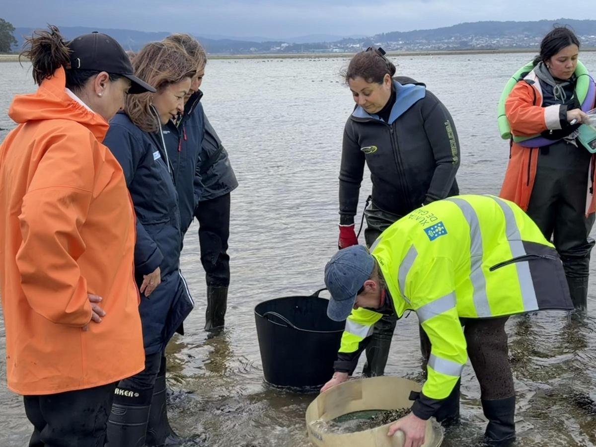 Representantes de la cofradía y la consellería haciendo una revisión en los bancos marisqueros de A Vía.