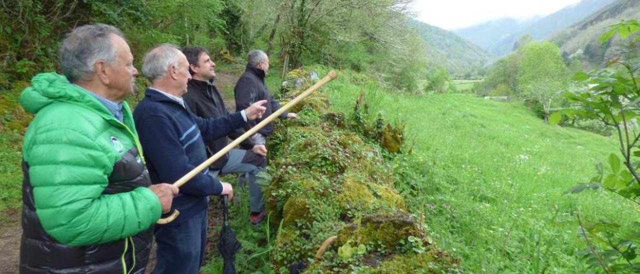 César Álvarez, Pepe Lago, Toño Rodríguez y Javier Rodríguez señalan el monte de Muniellos.