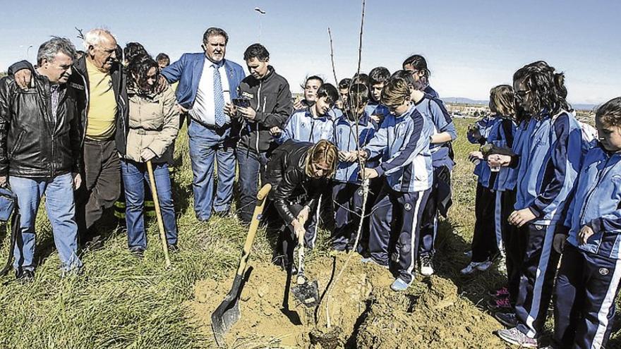 200 árboles para Cáceres el Viejo