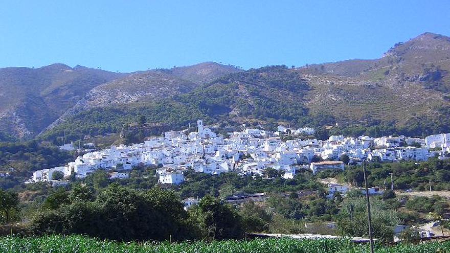 Desmantelan en Casarabonela un almacén dedicado a la venta irregular de aceitunas y algarrobas