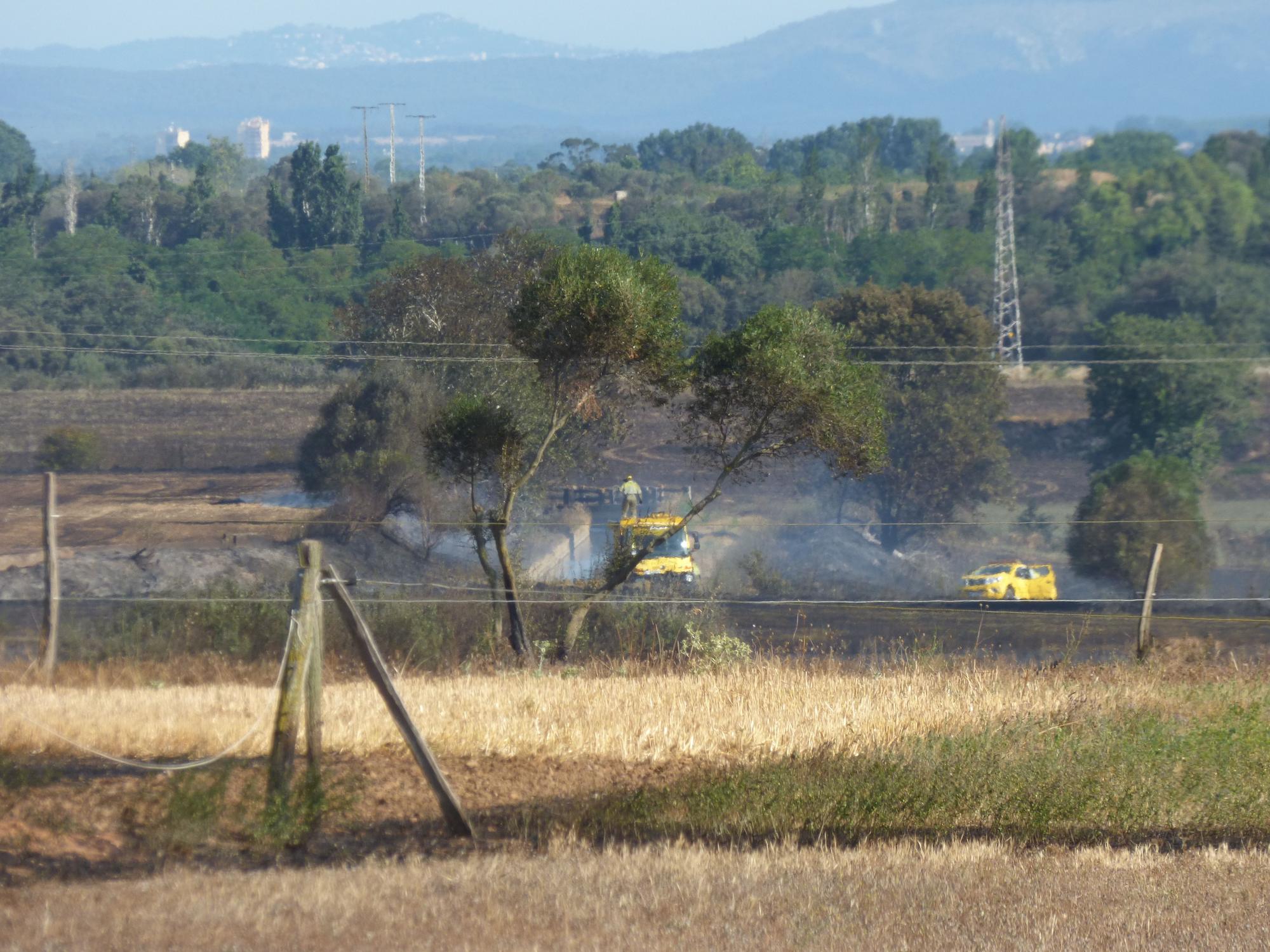 Un incendi ha calcinat 32 hectàrees de vegetació agrícola a Peralada