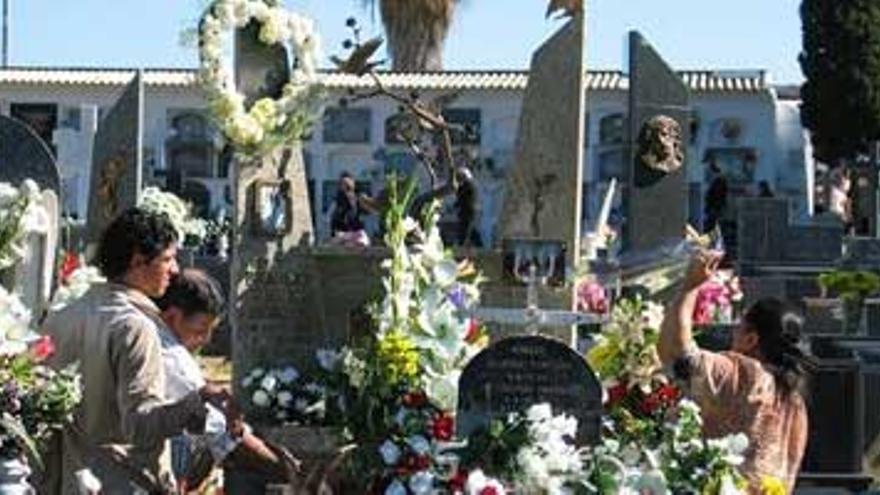 Badajoz informatiza la localización de los nichos de los cementerios de la Soledad y San Juan