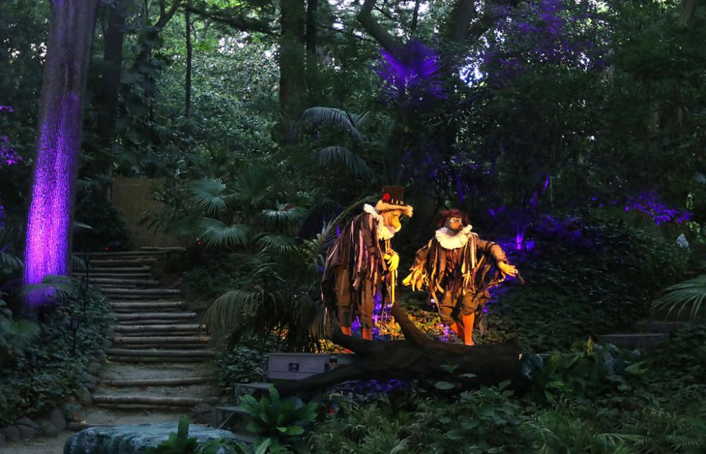 El musical malagueño 'Hara, el espíritu de la selva' volvió a Málaga en el inicio de su gira por otros jardines botánicos del país