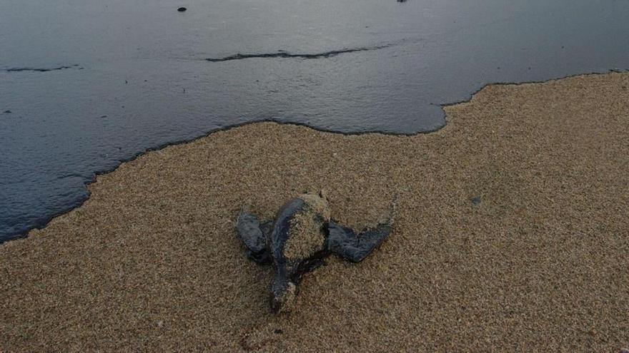 Un lustro de luto en la costa gallega