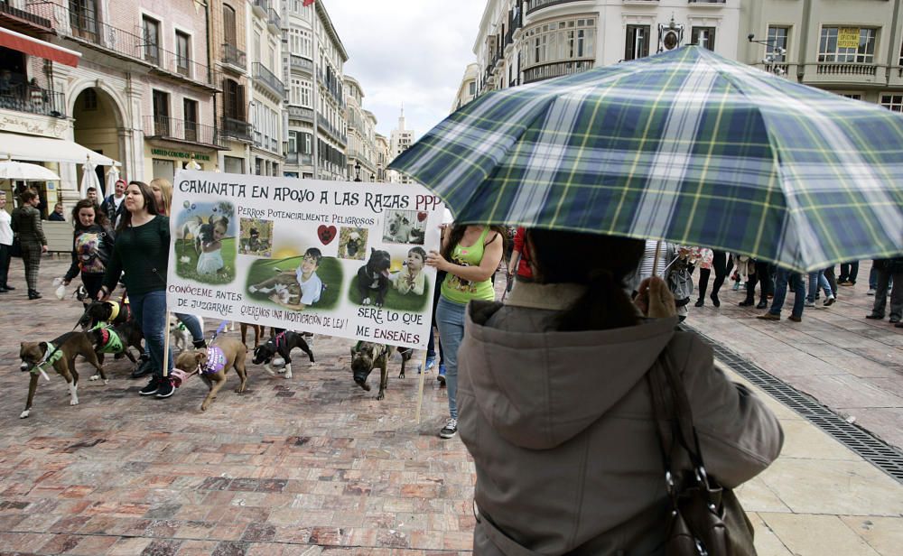 La marcha en apoyo de los perros potencialmente peligrosos transcurrió entre la plaza de la Constitución y la plaza de la Marina.