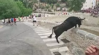 Un bou en corda cae por un barranco en Ontinyent