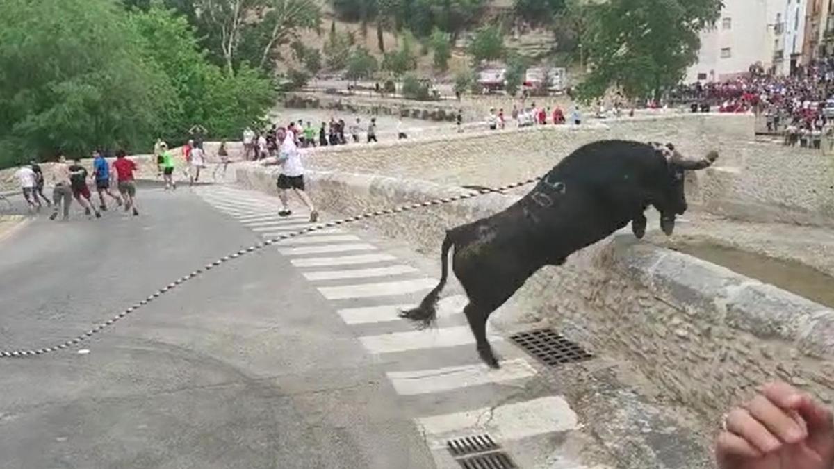 Un toro salta a un barranco en Ontinyent