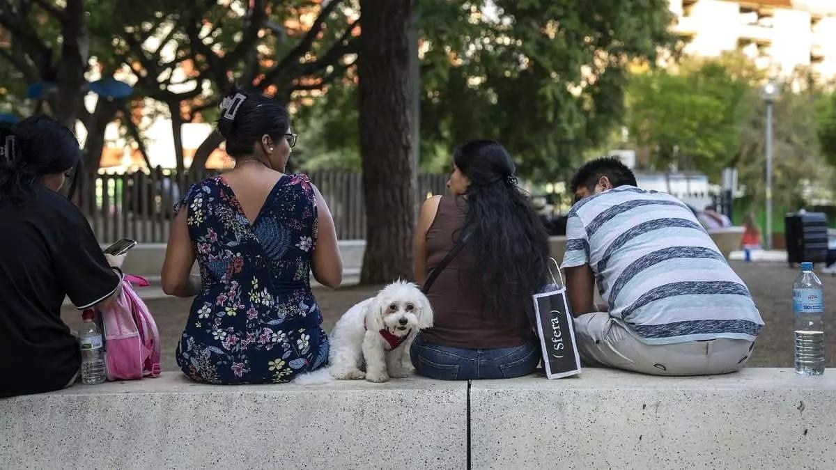 Vecinos a la sombra en el parque de los Ocellets de L’Hospitalet de Llobregat, en la frontera entre los barrios de La Florida y Collblanc.