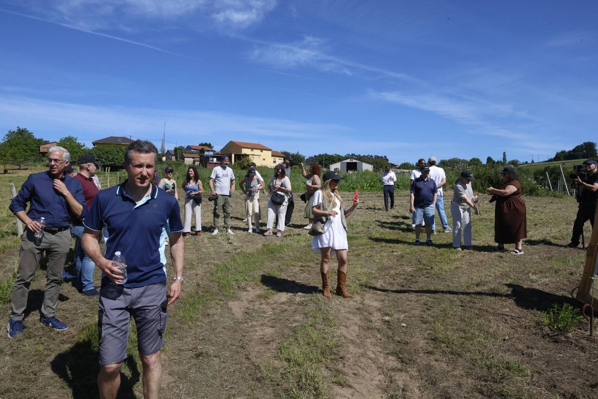 EN IMÁGENES: La Finca Gallinal abres sus puertas al "sidroturismos": una pumarada de 40 hectáreas y 20.000 manzanos