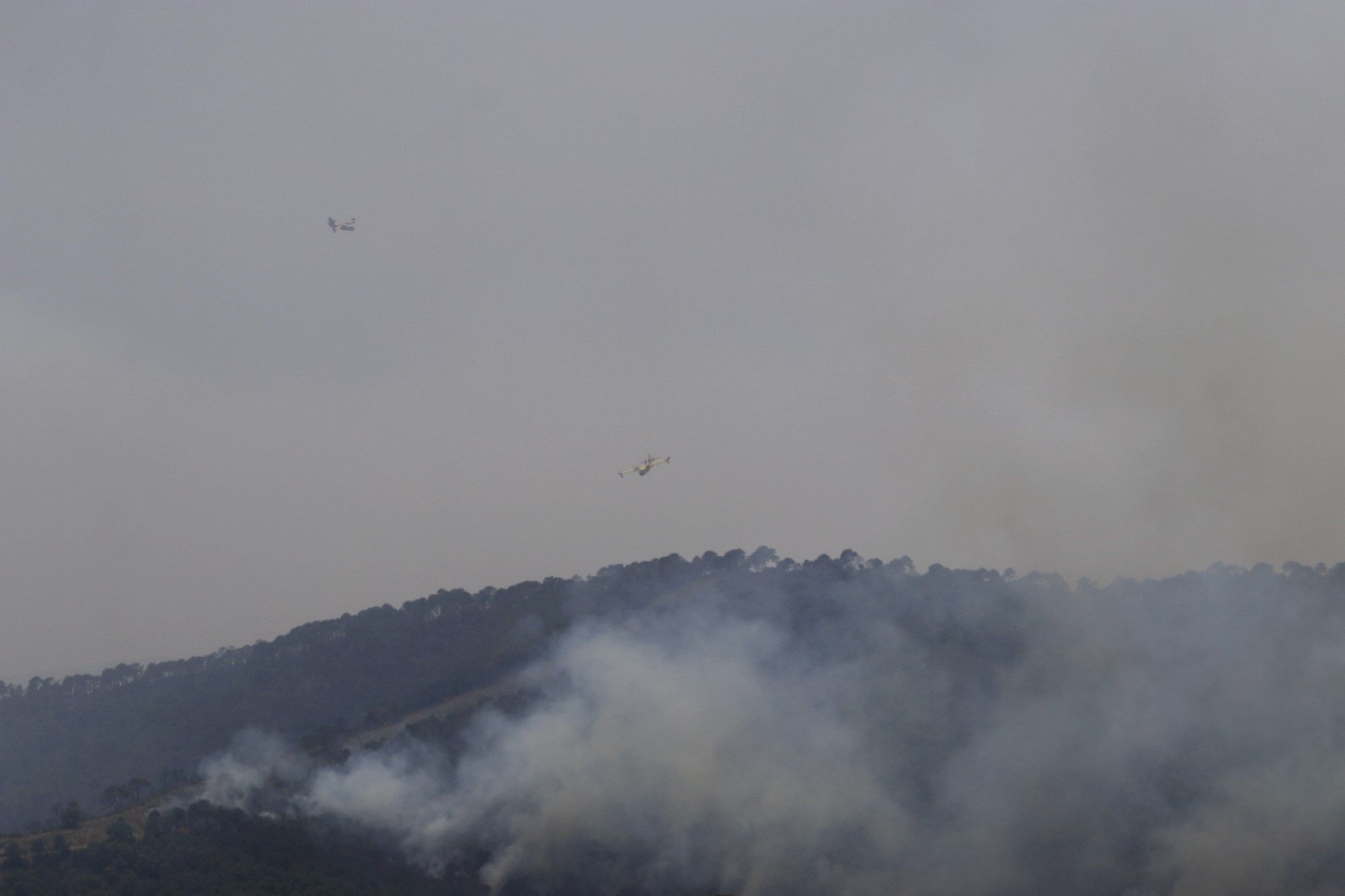 Un millar de efectivos trabajan para controlar el fuego de Sierra Bermeja