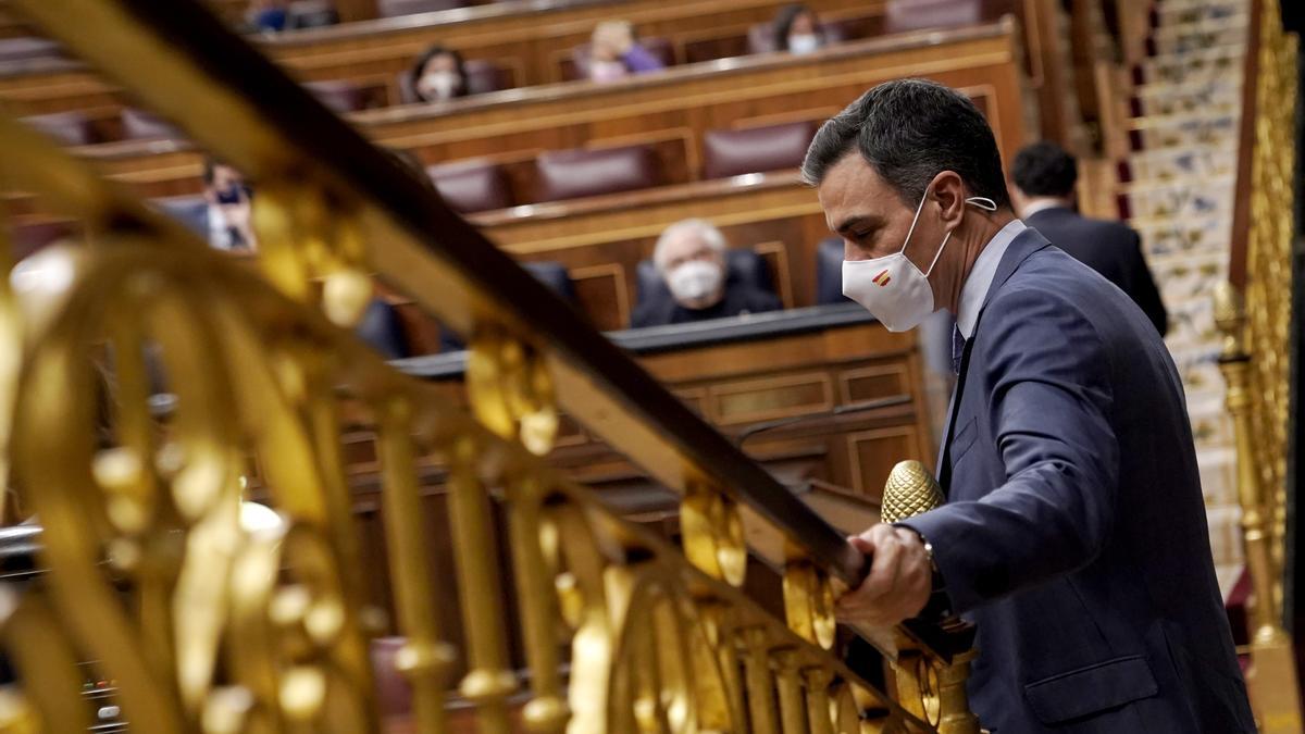 Pedro Sánchez, en el Congreso.