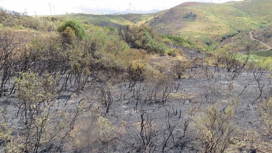 Imagen del incedio en el paraje de Loma Gómez, en Campillos.