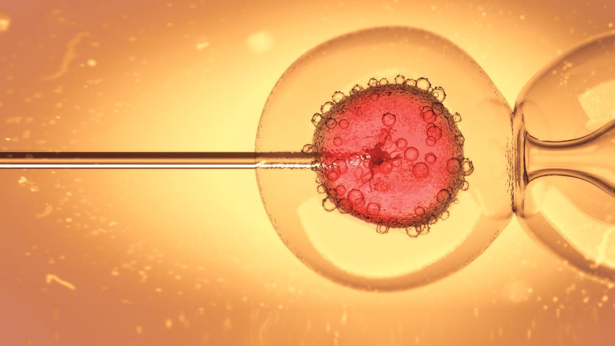 El proceso de reproducción asistida supone una alta carga emocional para la mujer.