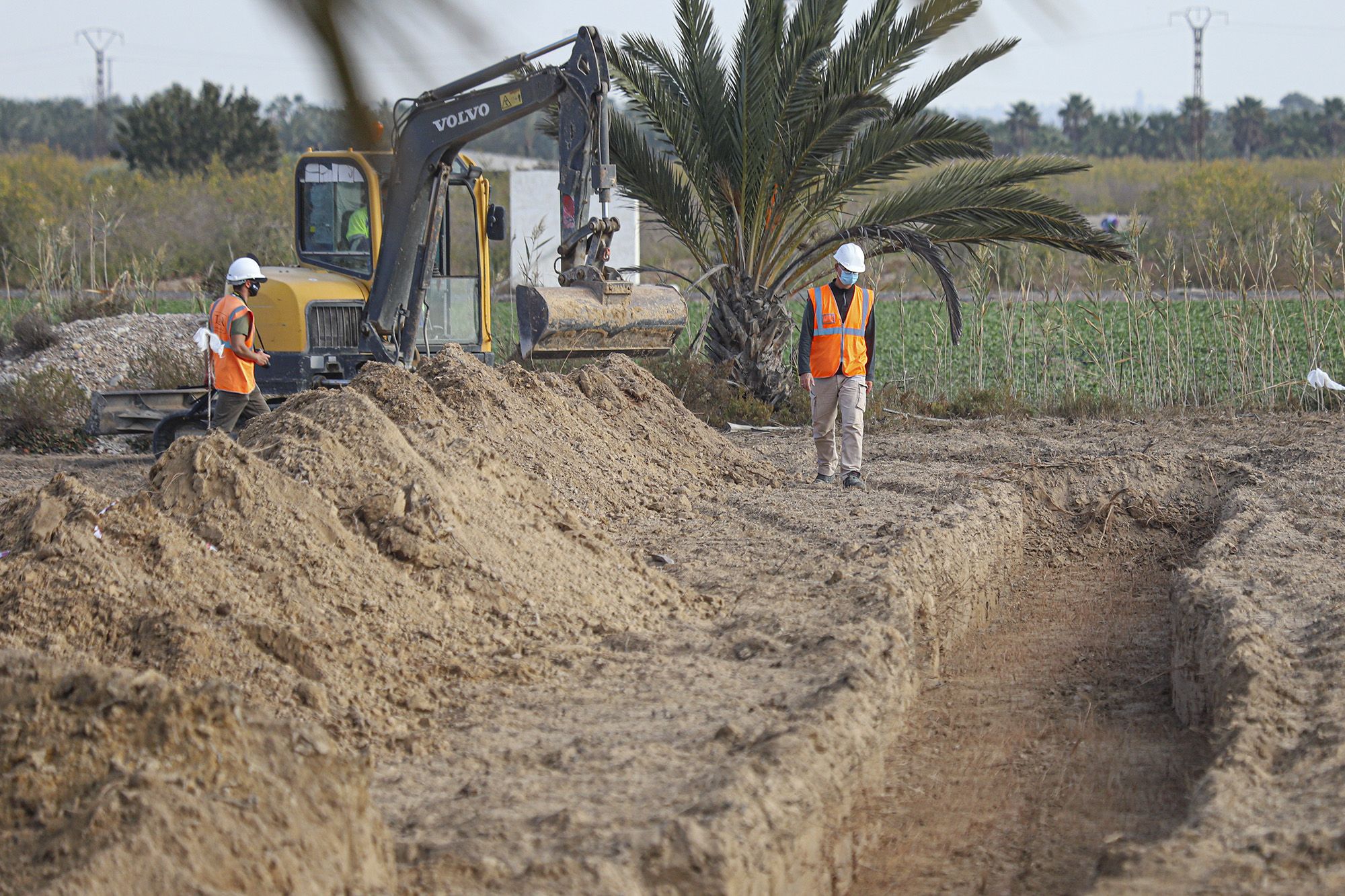 Excavaciones en el campo de concentración de Albatera para localizar una fosa común