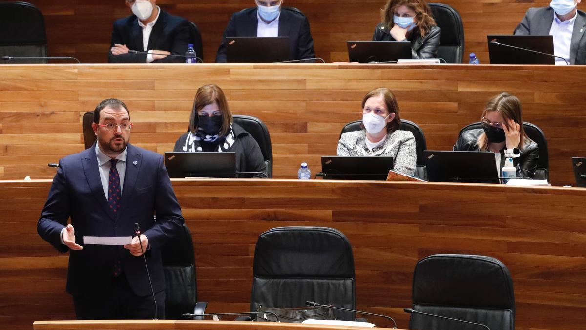 Pleno en la Junta del Principado de Asturias