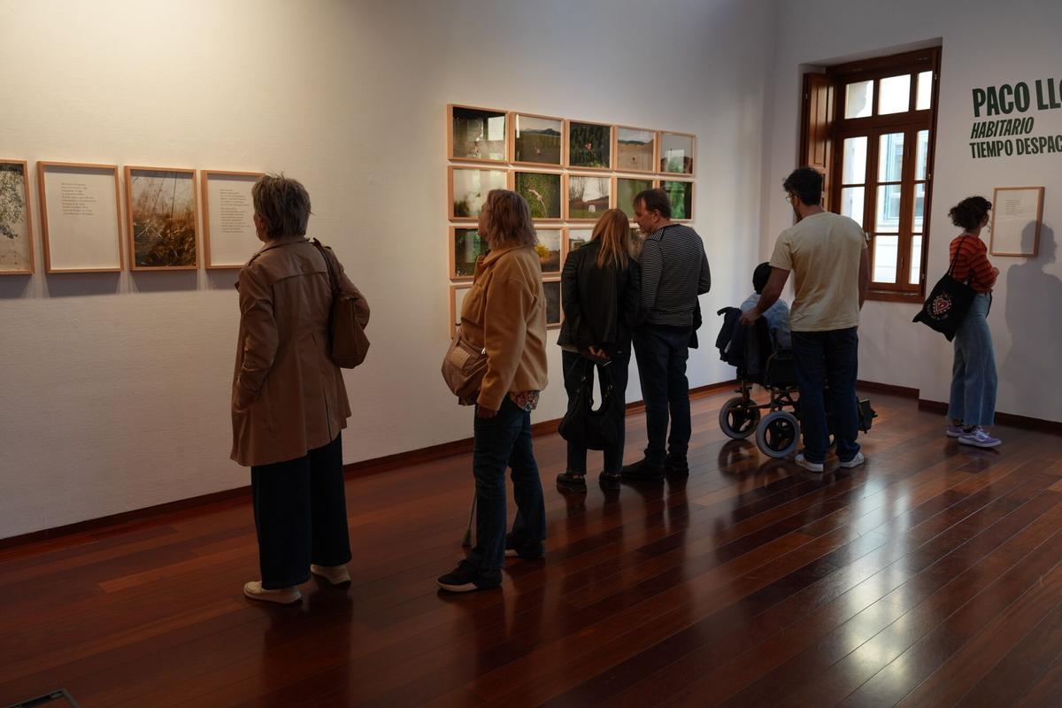 CASTELLON. NIT DE L'ART. EXPOSICION DE PACO LLOP. HABITARIO. TIEMPO DESPACIO. LLOTJA DEL CÀNEM. SEDE DE LA UJI EN LA CIUDAD