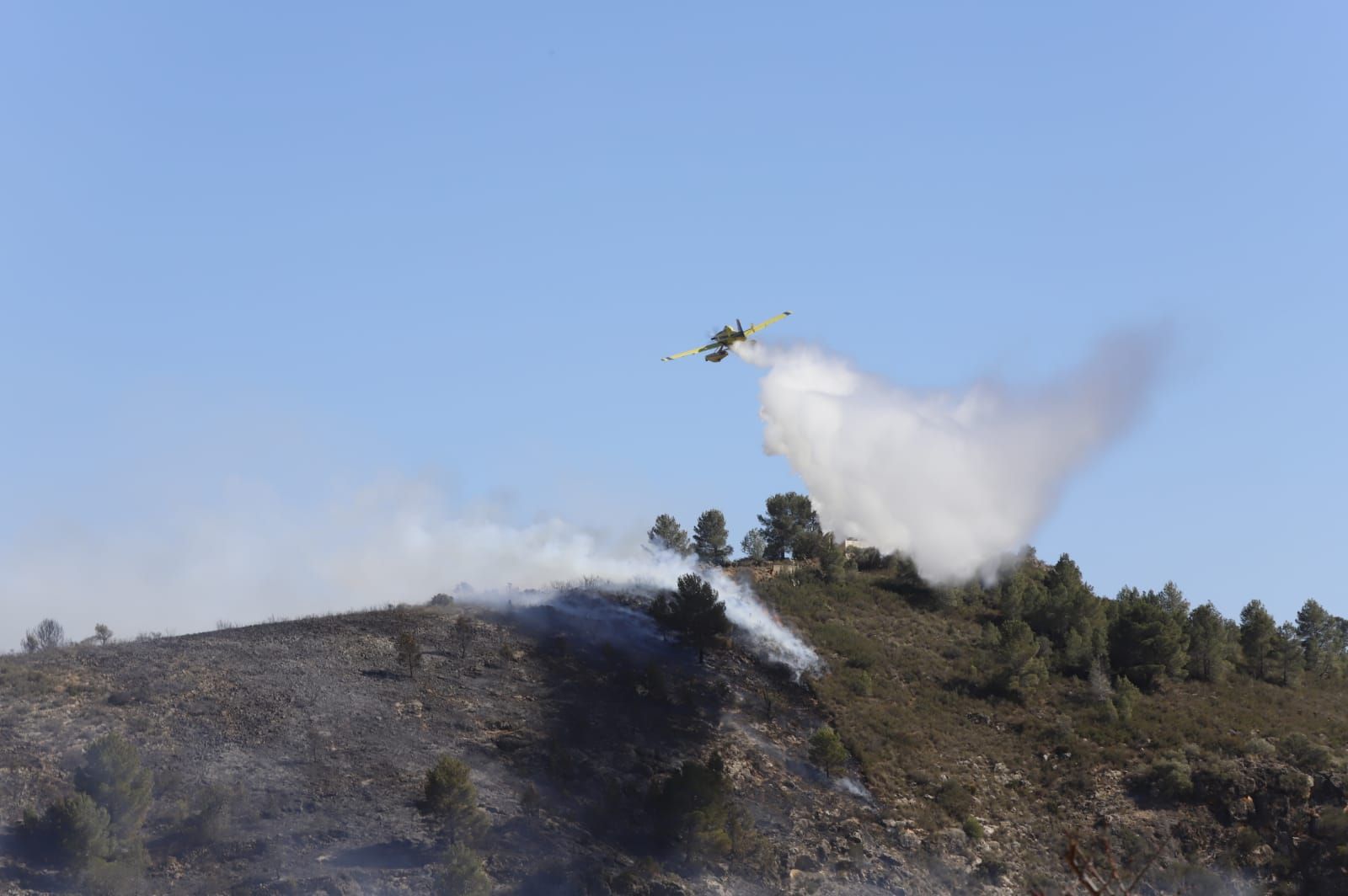 Las imágenes del incendio de Real