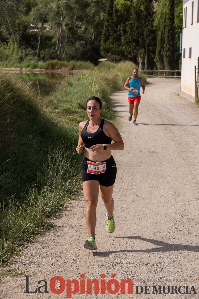 Carrera 'Entre arrozales' en Calasparra (carrera)