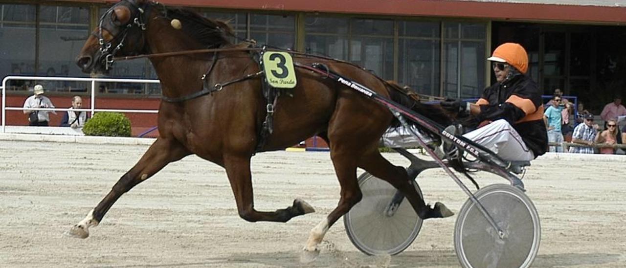 La nacional de cinco años Best IN, con Guillem Andreu, en una de sus carreras de este curso.