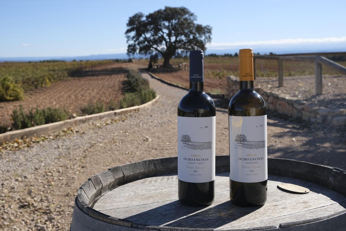 El nombre de Ocho encinas se debe a las ocho encinas milenarias que dibujan el paisaje en la Finca El Renegado.