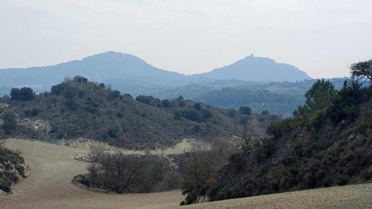 Campos de cereal en las cercanías de Peralta de la Sal, en Huesca.