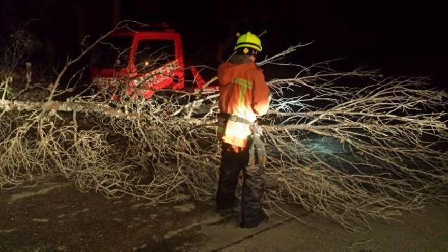 Los bomberos cortan un árbol caído la noche de ayer, viernes, en el distrito de Marxuquera.