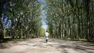 Girona invertirà més de 600.000 euros en el nou contracte de manteniment de la Devesa