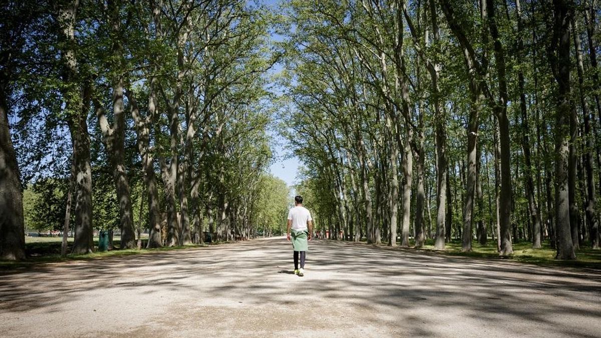 La Devesa és un refugi climàtic a la ciutat de Girona