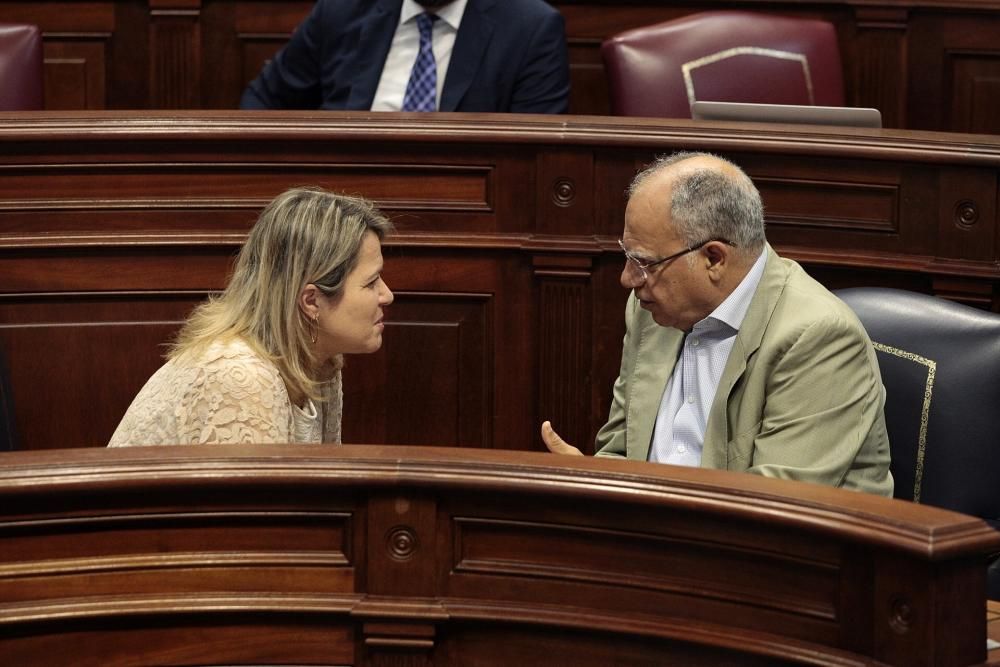 Pleno del Parlamento de Canarias 27-11-19