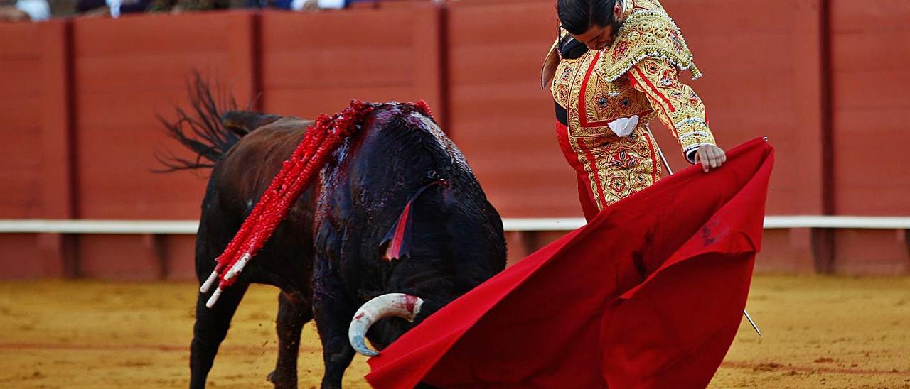 Més y Podemos se oponen a la retransmisión de corridas de toros.