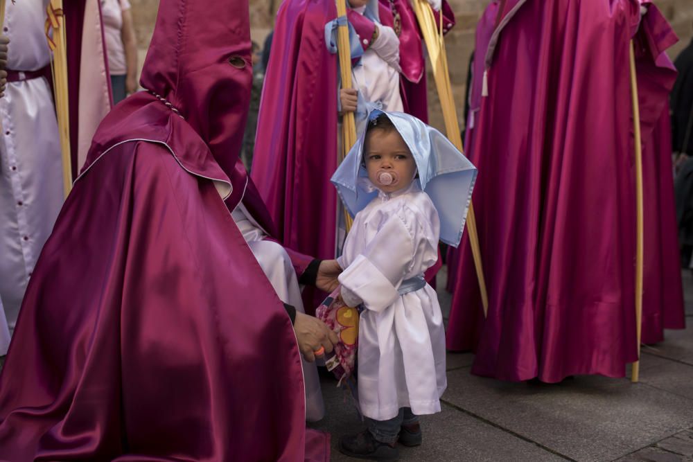 Semana Santa en la provincia 2019 | Procesión de L