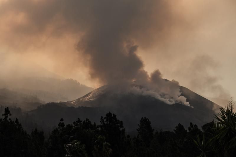 Erupción del volcán de La Palma (11/12/21)