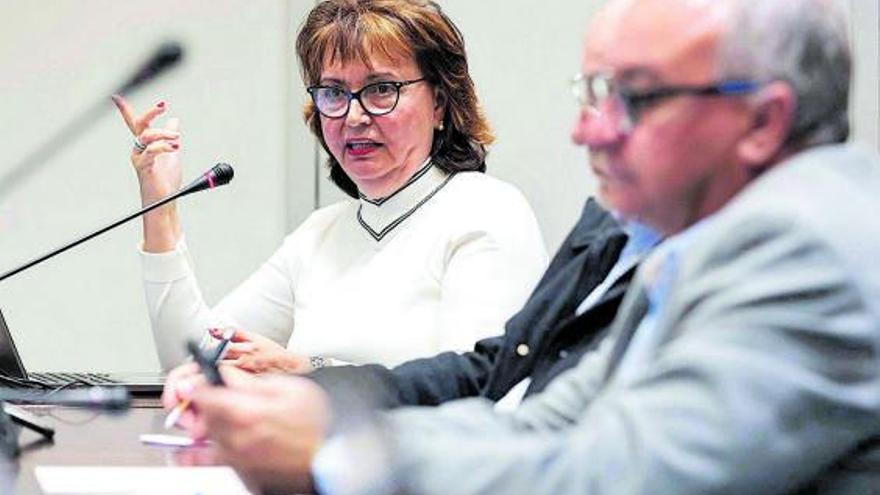 La catedrática de la ULPGC Josefina Domínguez ayer en el Parlamento. En primer plano Luis Campos. |  EFE