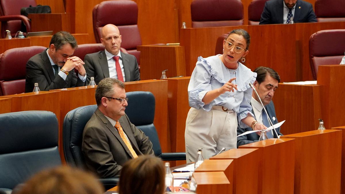 La consejera de Movilidad, María González, en el Pleno de las Cortes de este martes