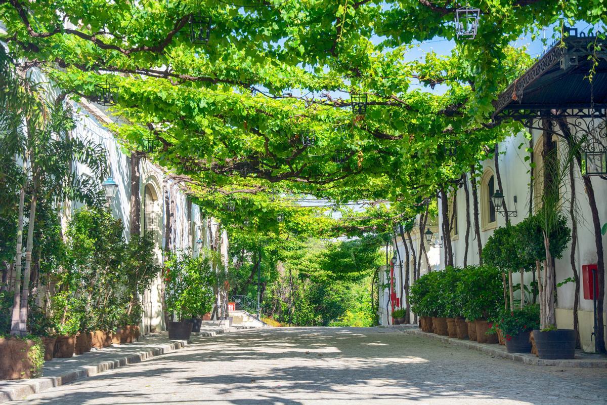 Pintoresca calle de Jerez de la Frontera