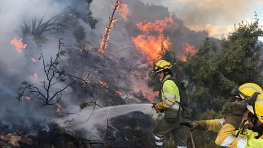 Efectivos de los bomberos en las tareas de extinción, ayer.