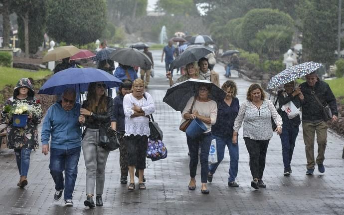 01/11/2018 LAS PALMAS DE GRAN CANARIA. Día de ...