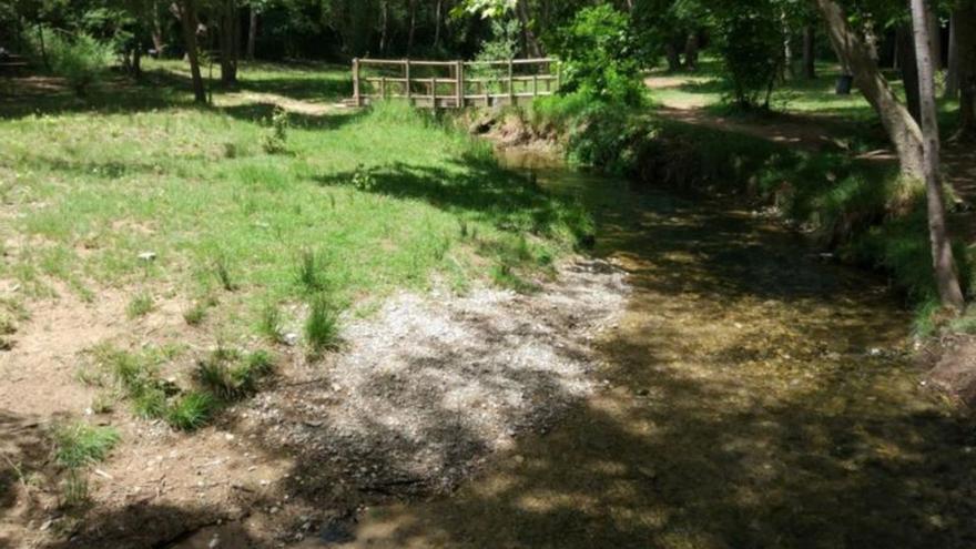 Los márgenes del río están muy descuidados en algunas zonas. | SERVICIO ESPECIAL