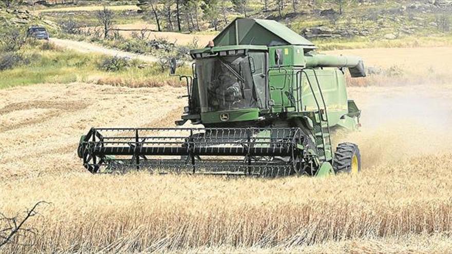 Más agricultura, menos industria