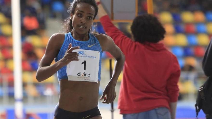 Operación contra el dopaje de grandes estrellas africanas de atletismo en Sabadell