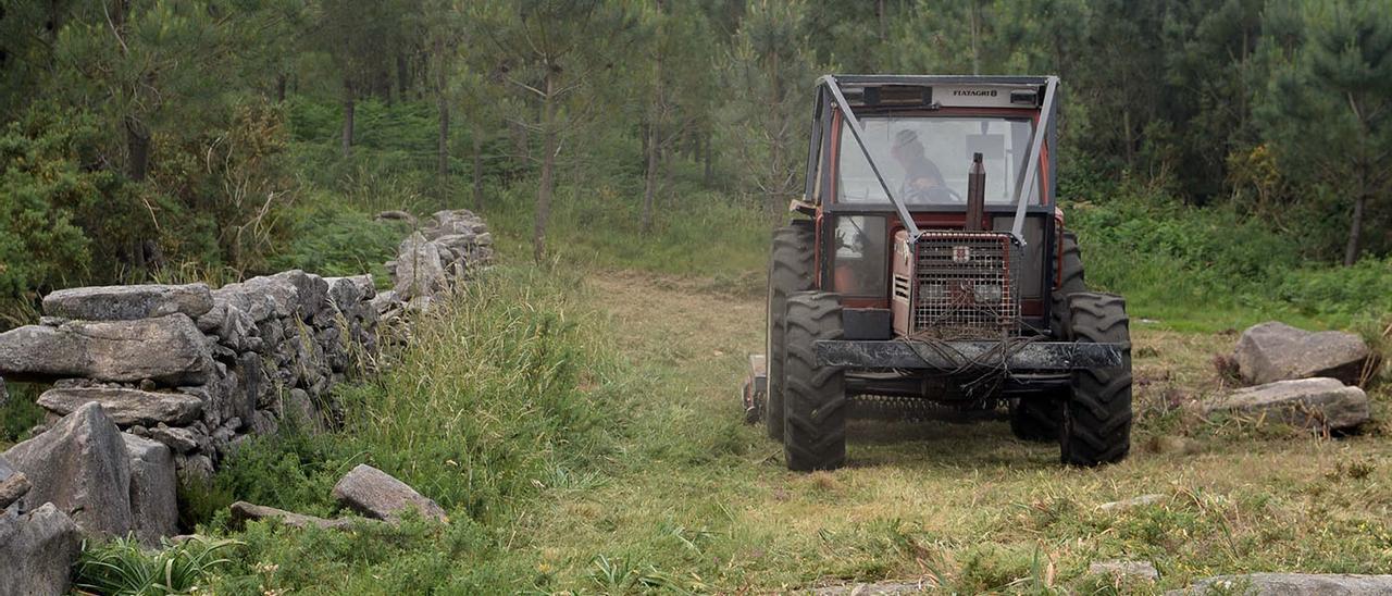 Un tractor desbrozando un monte en Galicia